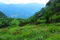 2014-07-24_OsterfelderKopf (378)b.JPG